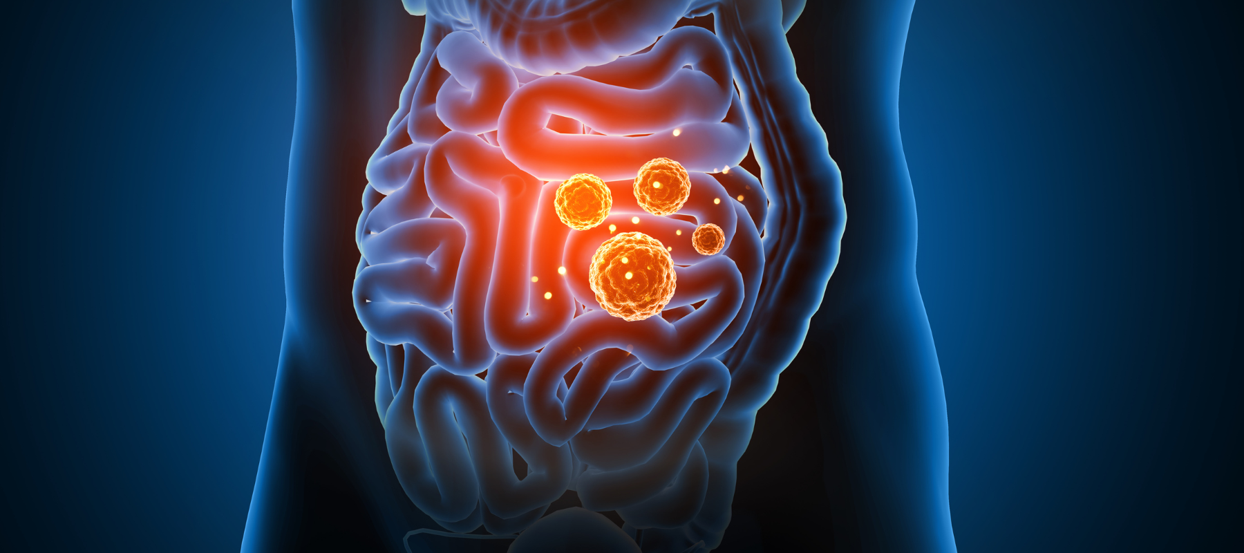 How Peptides Support Gut Health, Inflammation, and Autoimmune Repair