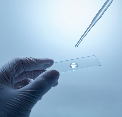 Gloved hand holding a glass microscope slide while a pipette dispenses a droplet above it